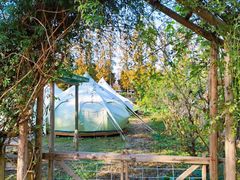 -前小桔亲子创意农场·草莓采摘·露营烧烤