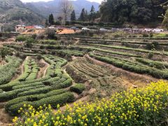-杨家堂村
