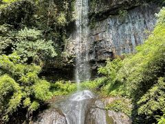 -龙苍沟森林公园