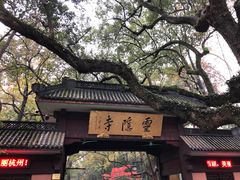 -灵隐飞来峰景区