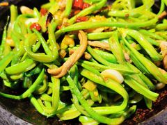 老济南砂锅芸豆丝-梅飞酒家(桑园路店)
