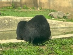 -上方山森林动物世界