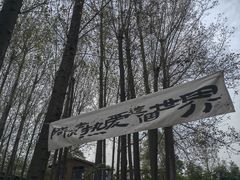 -林间山庄
