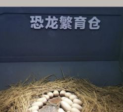 -恐龙探索乐园(磁器口店)
