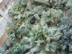 -黑龙江中医药大学附属第一医院