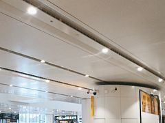 -麦当劳(北京大兴机场二层国内到达(安检外)店)