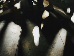 -坚果NUTS