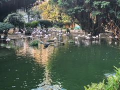 -九龙公园