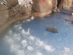 -灵秀温泉