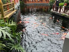 -香麒园·过桥米线·南湖雅宴