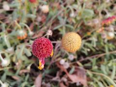 -北京国家会计学院