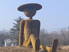 -日照海滨国家森林公园