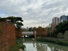-牛岗山公园