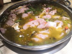 -香坝坝鲜鱼火锅(春熙路店)