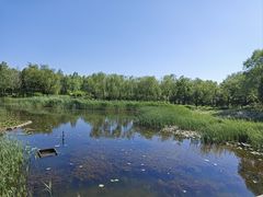 -翠湖国家城市湿地公园