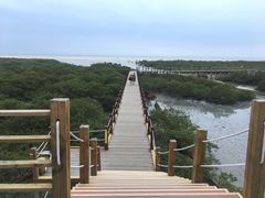 -北海金海湾红树林生态旅游区