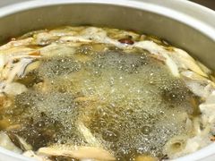 -鲜菌江湖正宗野生菌火锅