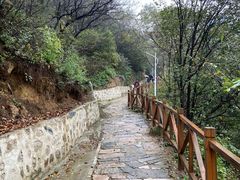 -大岭沟猕猴桃谷风景区