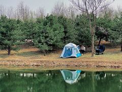 -东郊湿地公园