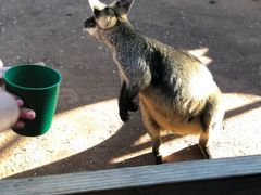 -费瑟代尔野生动物园