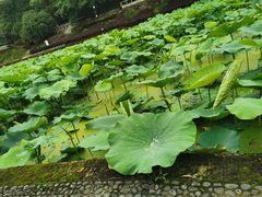 -西南交通大学(峨眉校区)