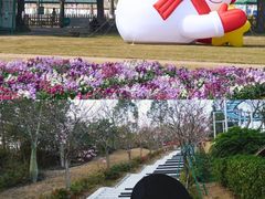 -盈香心动乐园