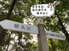 -火炉山森林公园