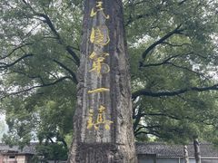 -蒋氏故居