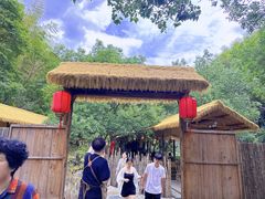 -宁波五龙潭景区