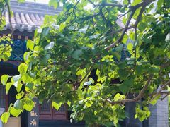 -内蒙古将军衙署博物院
