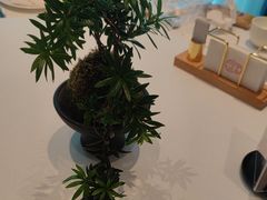-松鹤楼·非遗·苏帮菜(融科店)