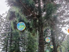 -人民公园(罗湖区)