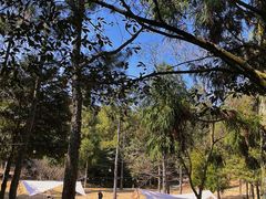 -鼓岭旅游度假区