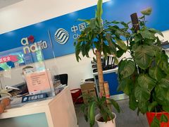 -中国移动(洞泾营业厅)