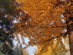-辽宁大学(崇山校区)