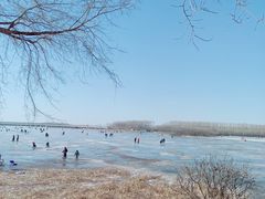 -丁香湖公园
