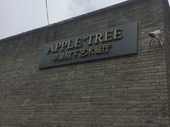 -苹果树下艺术餐厅(宋庄店)