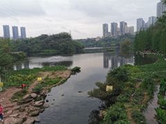 -重庆彩云湖湿地公园