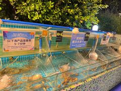 -渔家火锅·海鲜自助餐·演艺(亚龙湾天域酒店)