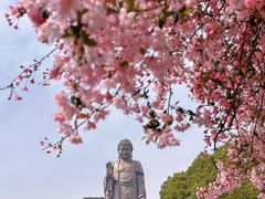 -灵山胜境