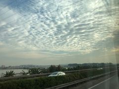 -义顺牛奶公司(新马路老店)