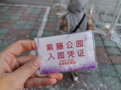-嘉定紫藤园