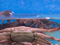 -一品江南韵·淮扬菜