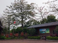 -大湾区中央湿地公园