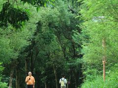 -燕晗山郊野公园