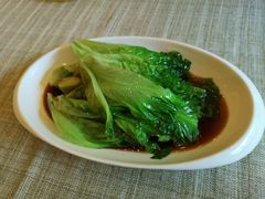唐生菜-潮府馆·非遗潮州菜·世纪公园(新国际博览中心店)