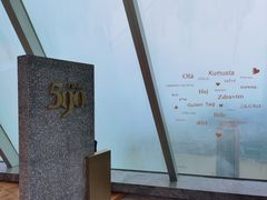 -WFC会仙楼观景台