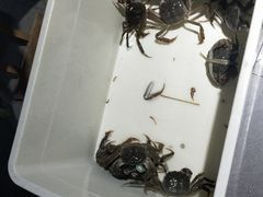 -蟹小姐节气生鲜·年货(高新店)