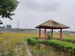 -紫颐香薰山谷景区