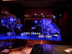-纯K(打浦桥店)